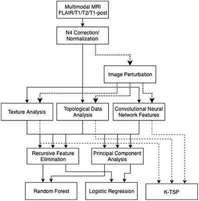 Prediction of 1p/19q Codeletion in Diffuse Glioma Patients Using Pre-operative Multiparametric Magnetic Resonance Imaging